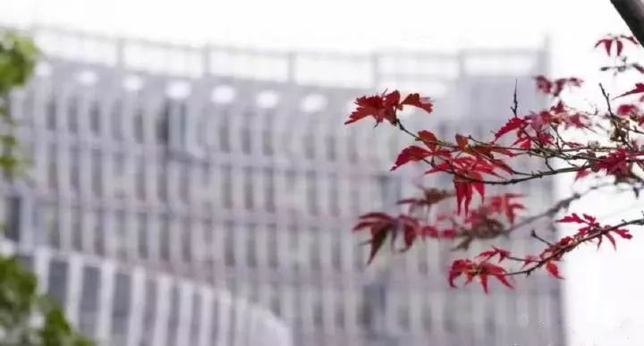 常州大学院校排名前十名,常州十大高校