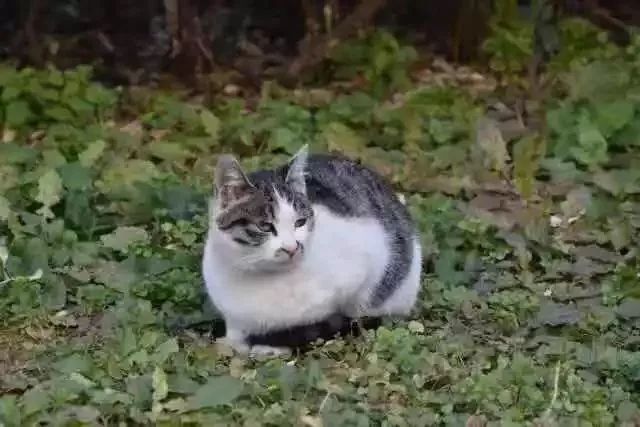 常州大学院校排名前十名,常州十大高校