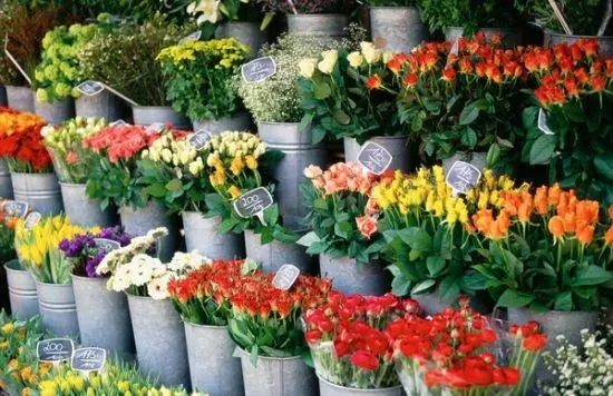 洛阳年货大集攻略,洛阳赶集市时间表