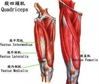 练腿的攻略,练腿诀窍