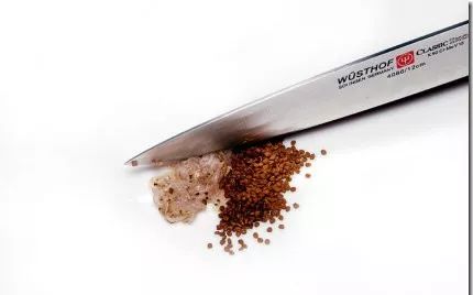 怎样处理鱼,怎么处理各种各样的鱼