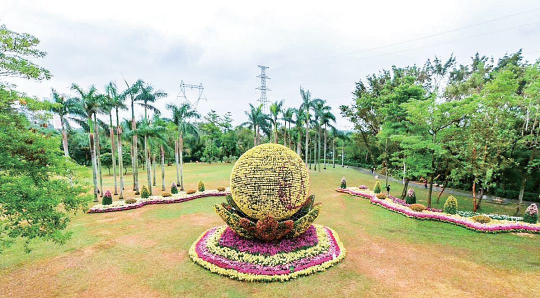 坐地铁去深圳旅游攻略路线,深圳一日游详细攻略大全最新