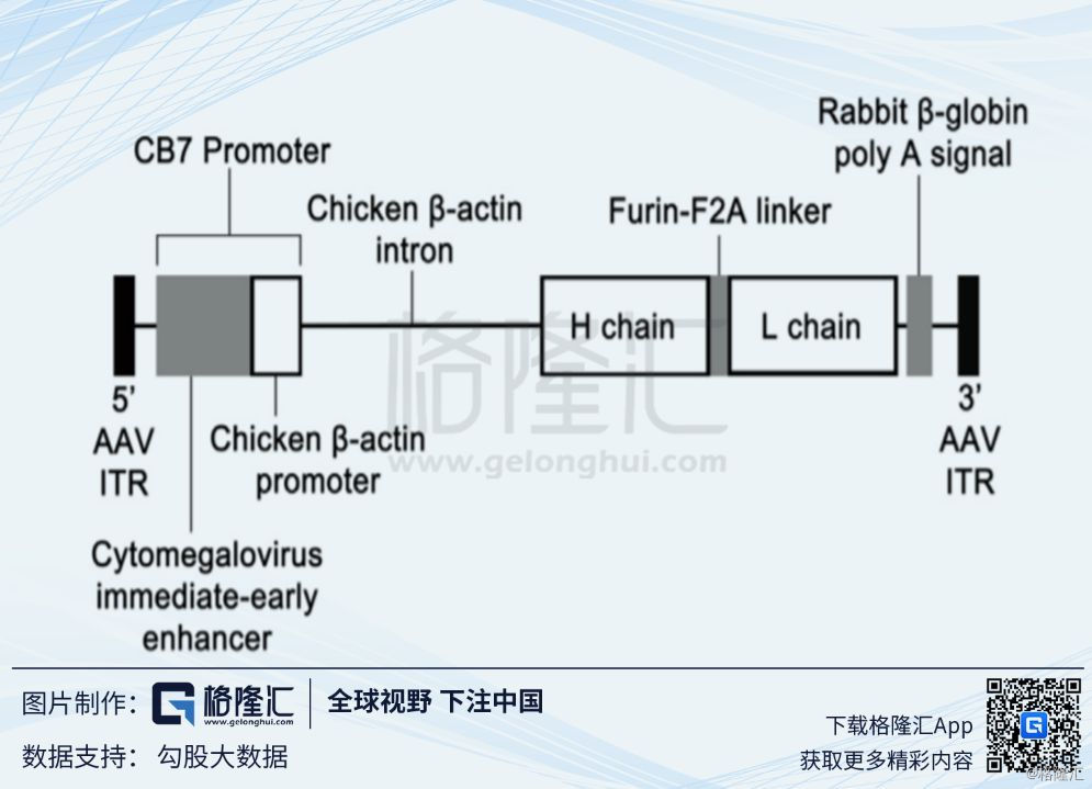 Regenxbio（RGNX.O：基因治疗界新秀崭露头角