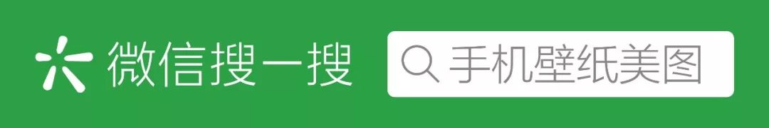 花电脑壁纸高清唯美,电脑壁纸超清唯美中国风