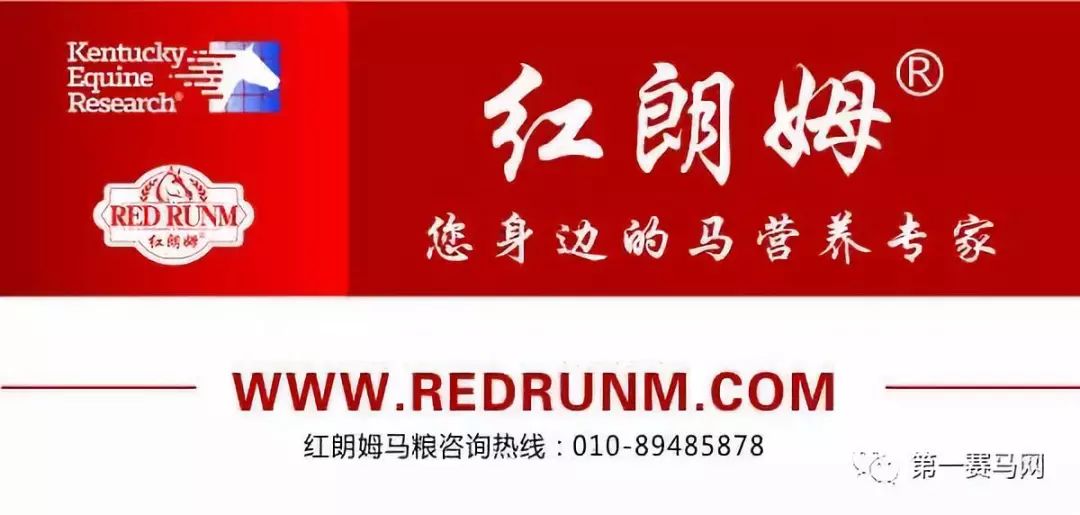 赛马前腿瘸了什么原因,赛马腿瘸了