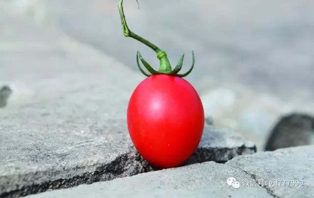 低gi水果的好处,低gi值水果