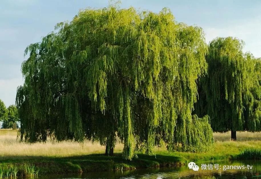 「文字记忆」公安，是他永久的乡愁