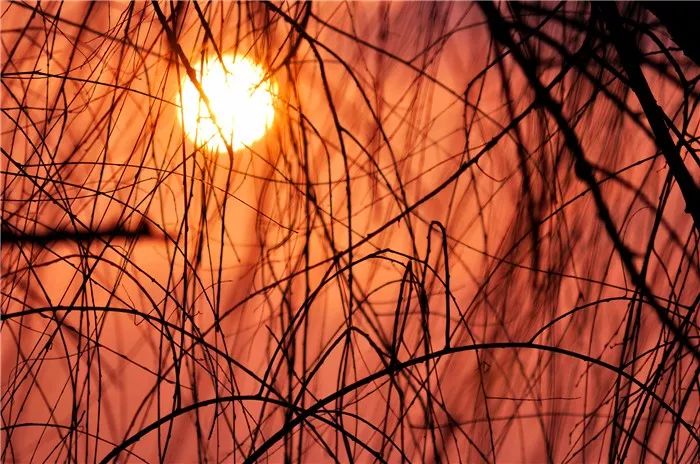 我见过最才华横溢的诗,关于才华横溢的诗句有哪些