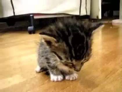 怎么调整春节后上班态势,春节后上班第一天