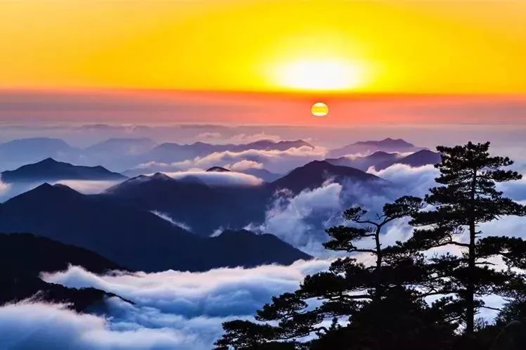 黄山正月游玩,黄山人游黄山免费票难抢吗