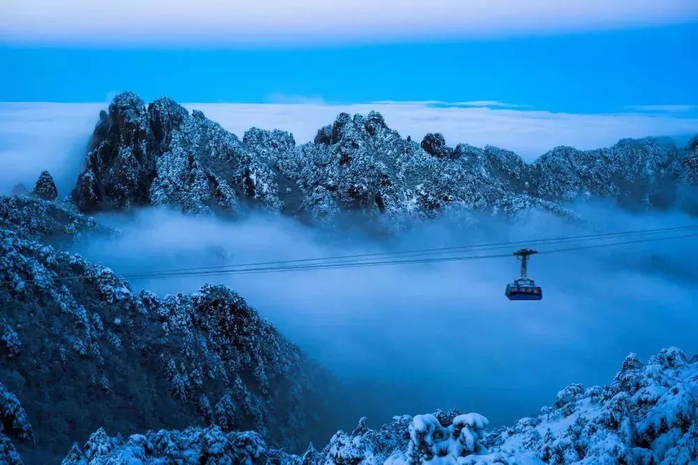 黄山正月游玩,黄山人游黄山免费票难抢吗