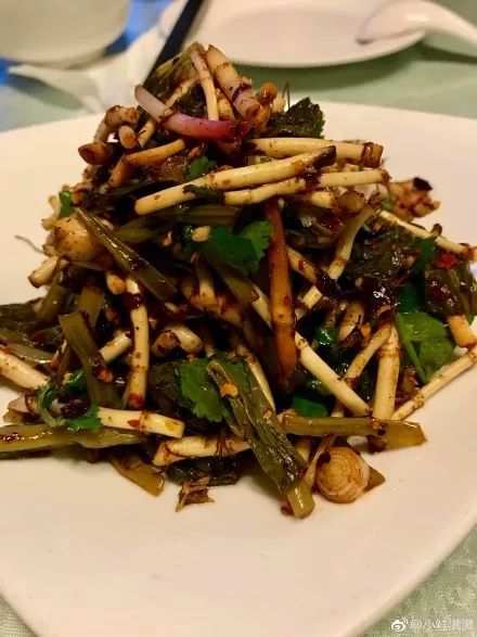美食｜贵阳不光是辣味的，还有一种味道叫折耳根！