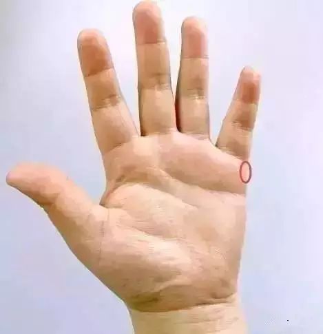 按摩哪些穴位可以防止血管堵塞,治疗心脑血管疾病的穴位有哪些