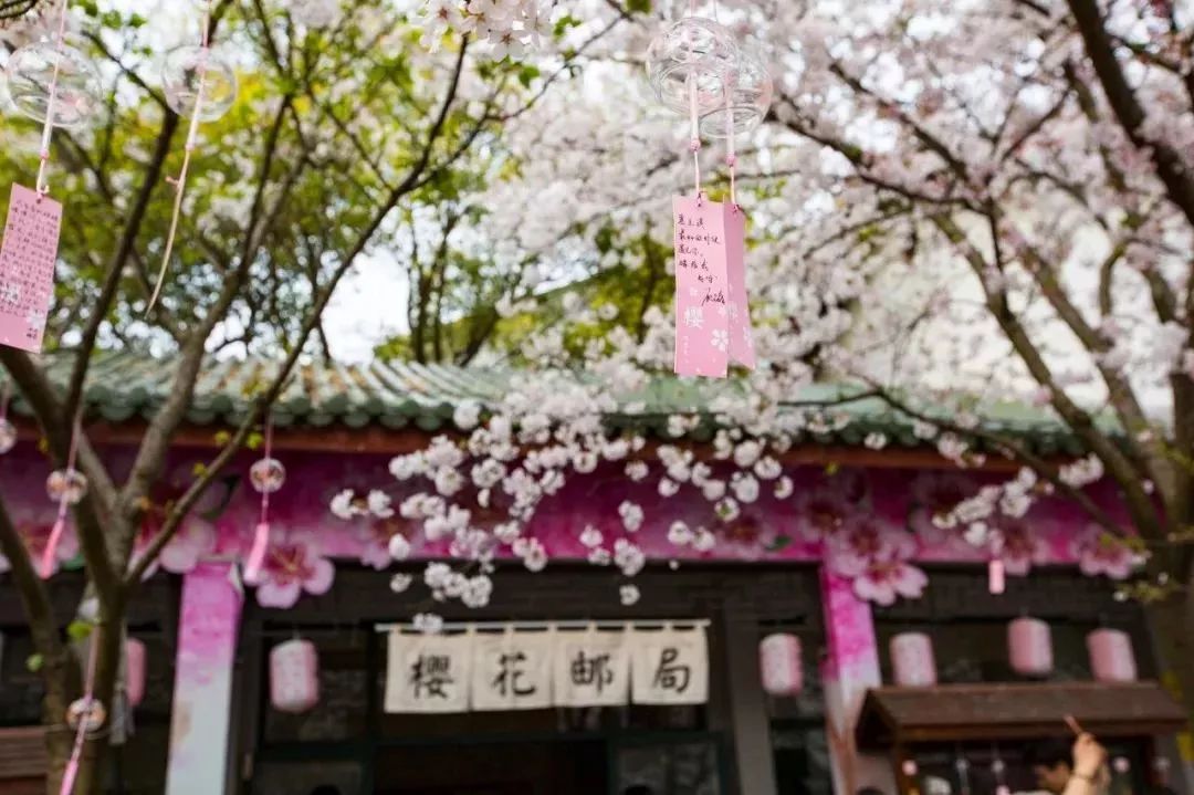 2022年3月机票便宜,三月下旬厦门到成都机票价格