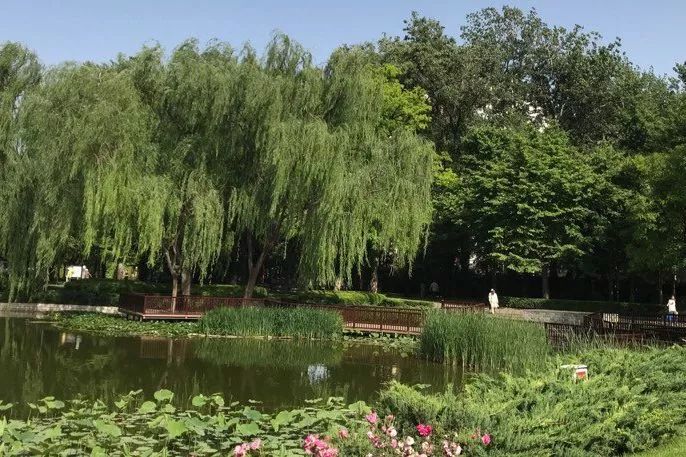 北京哪些景点未成年人免费,北京郊区免费景点推荐