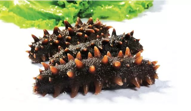 有人说吃海参养胃真的假的,经常吃海参能抗癌吗