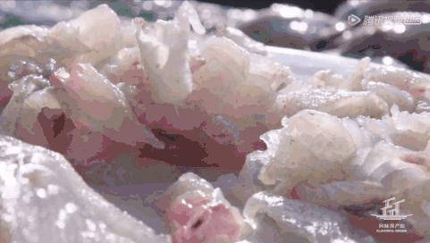 被Netflix买断全球版权！这部陈晓卿新出的纪录片要去征服世界吃货了！