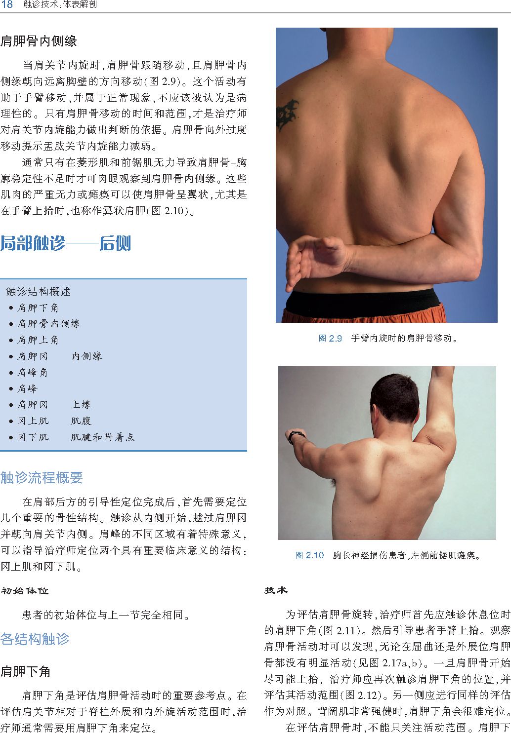 好书推荐|《触诊技术》---李哲人体科学团队---开年首发