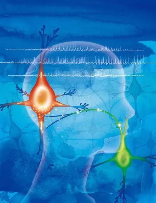 正经科普：今天不是情人节吗，跟癫痫日有啥关系？