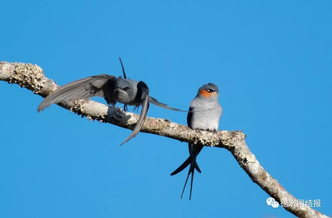 镜语德宏,瑞丽市勐秀乡户瓦山