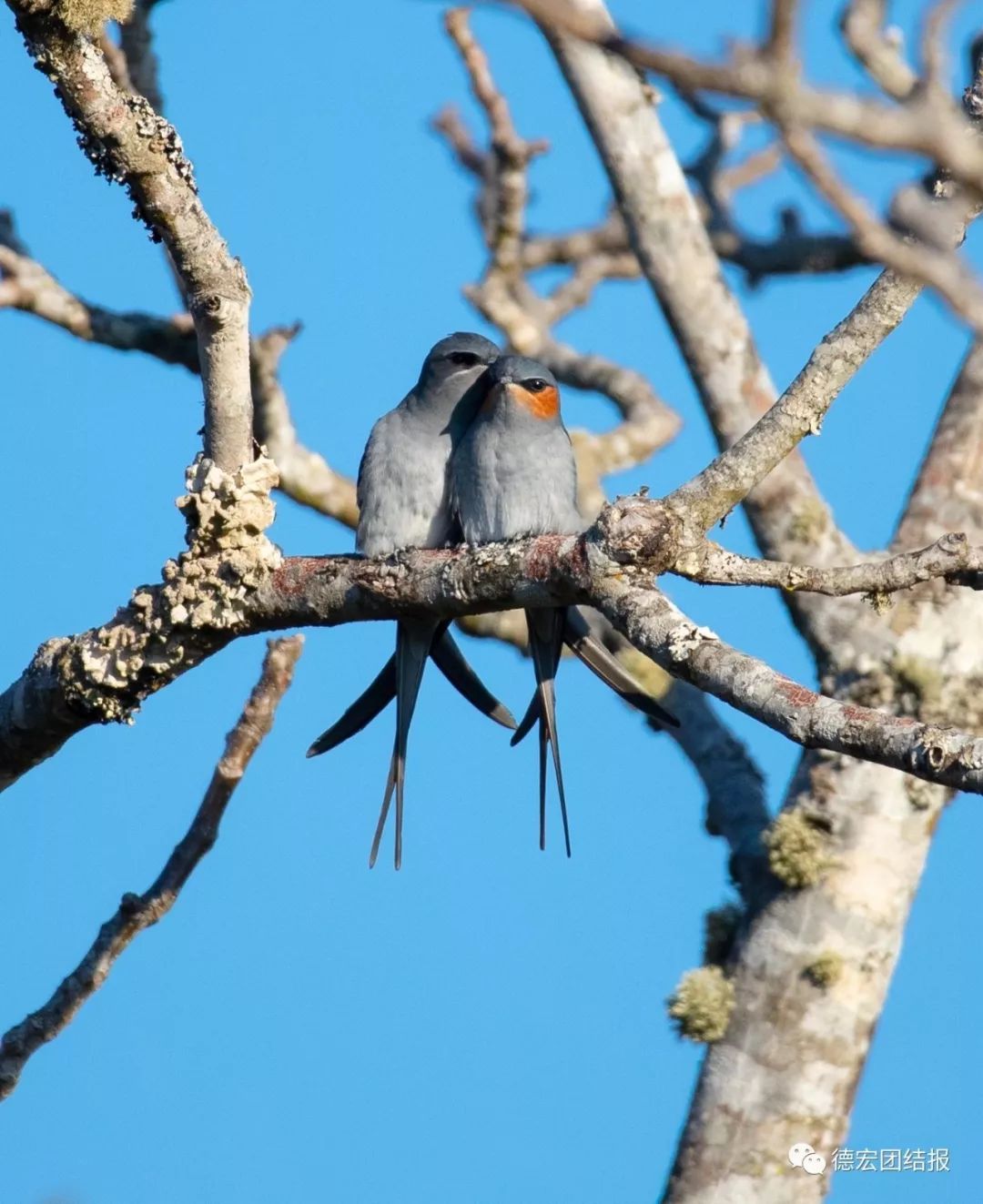 镜语德宏,瑞丽市勐秀乡户瓦山