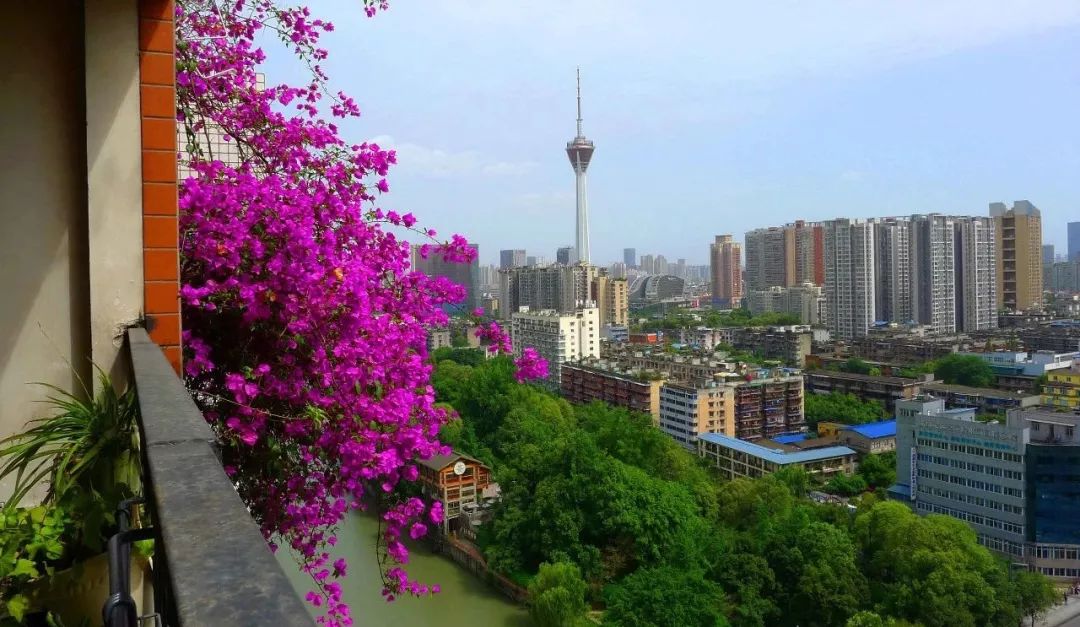 全面从严治党不忘初心,全面从严治党永不松懈