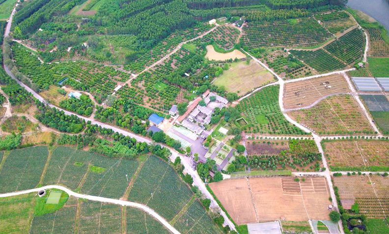 肉鸽养殖业扶贫,肉鸽养殖场致富经