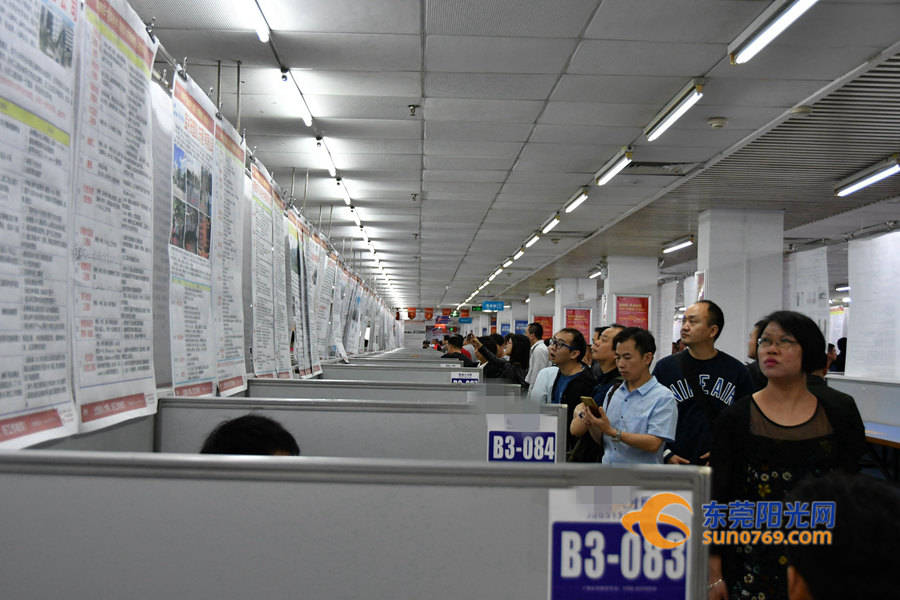 东莞大型招聘会最新消息,东莞人才市场招聘会时间表