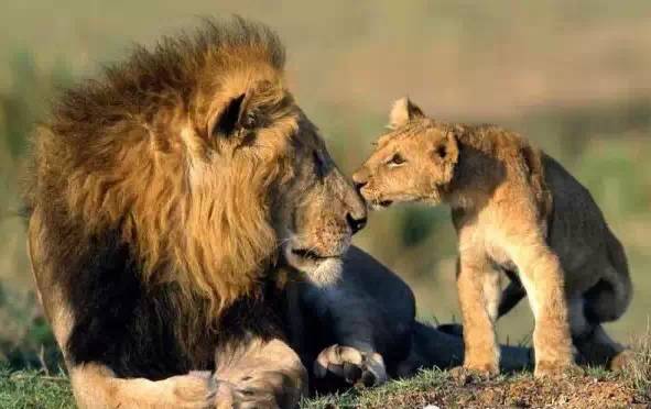 情人节必打卡酒店,情人节宝藏酒店推荐