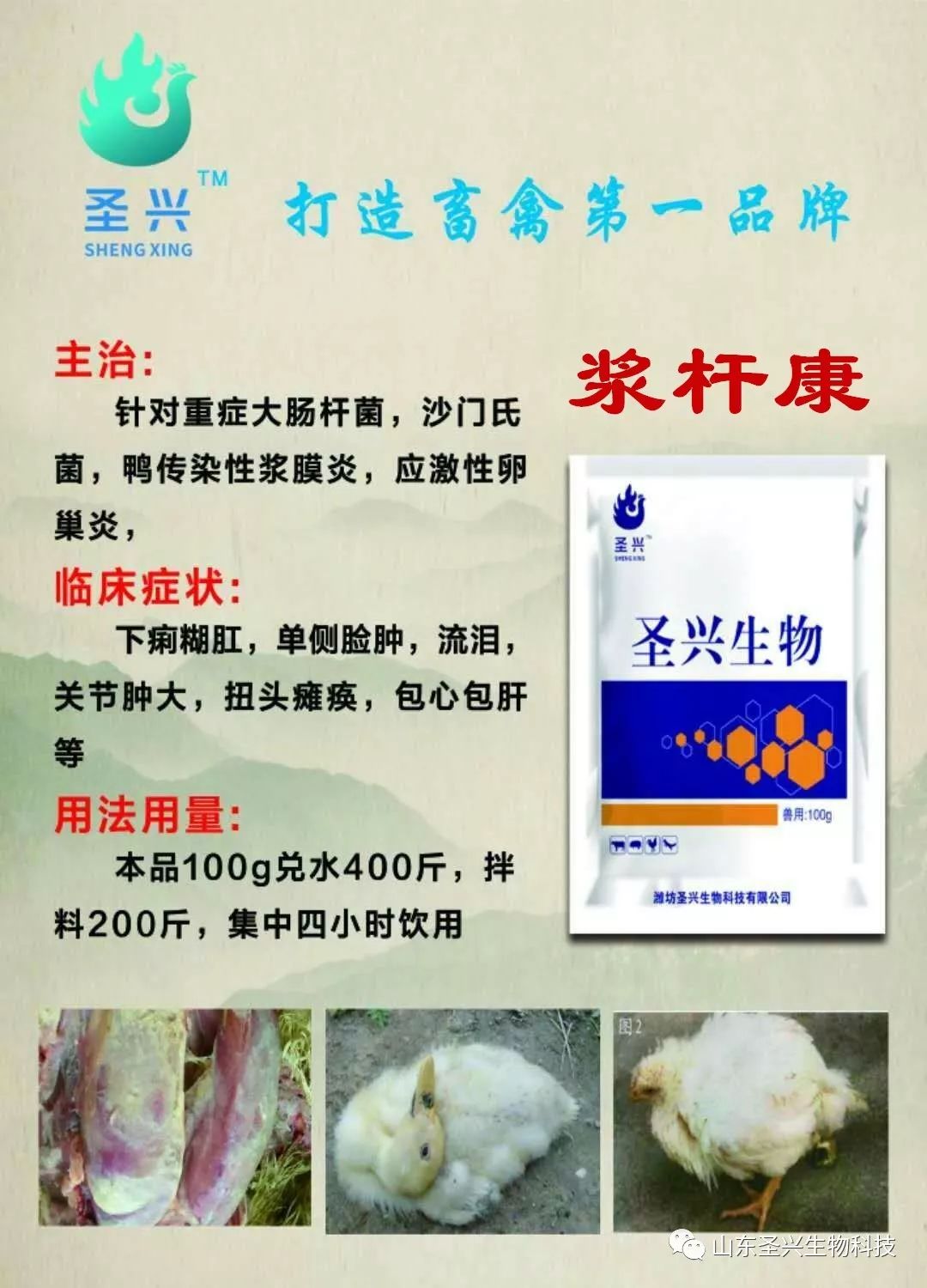 连续使用两个疗程浆膜炎和副粘病毒混感还不能根治，不要执着了，必须使用我们的黄金搭档