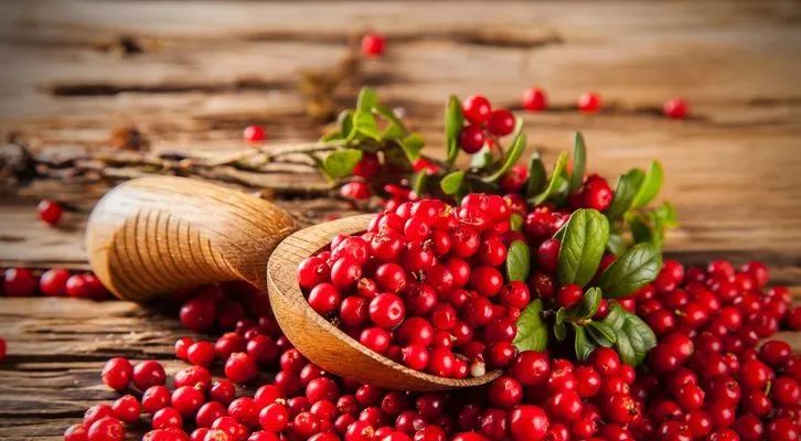 蔓越莓健康营养价值高吗,蔓越莓到底好不好吃