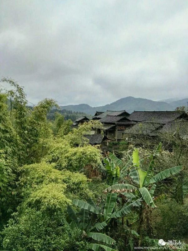 「辣评快递」一声长篙划过巫水的乡愁——品读王一丁先生《半界赋》有感