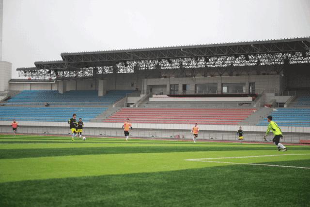 体育新年活动主题名称,体育旅游嘉年华