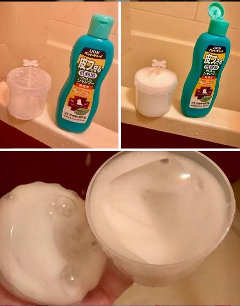 日推上爆火的6块钱大创洗颜打泡器白买了，原来这才是正确用法！