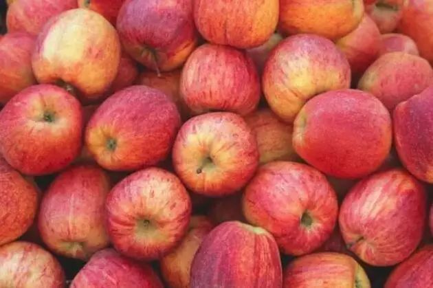 新西兰长期签证新政策,签证放宽