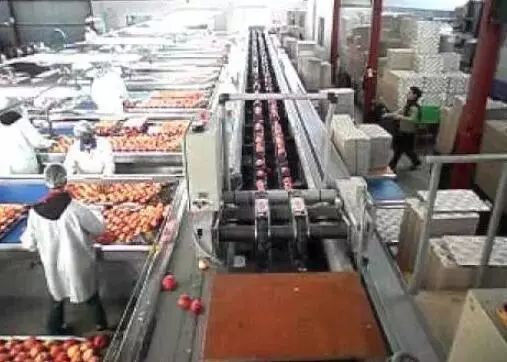 新西兰长期签证新政策,签证放宽