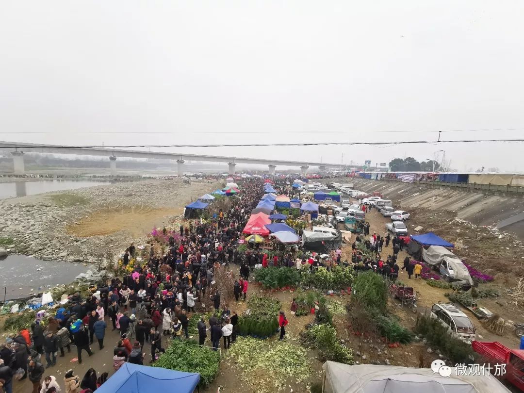 什邡元宵活动多图,今年什邡马井元宵节