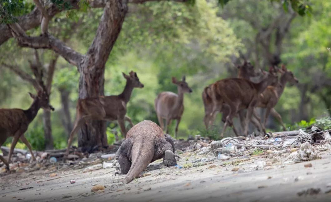 巴厘岛直飞中国航班,飞印尼巴厘岛要多久