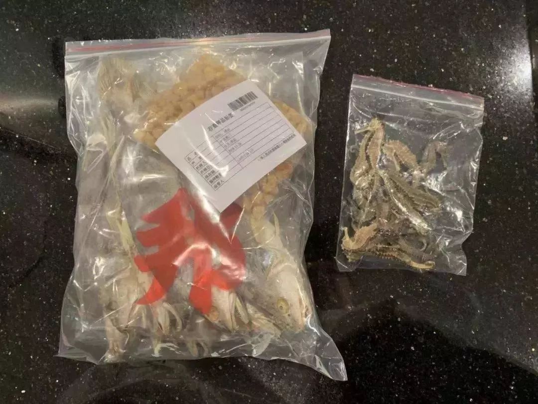 去香港怎么带东西不会被罚,出境香港禁止带什么东西