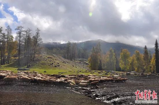 令人动容曾经支教的老师,支教老师感动落泪的视频