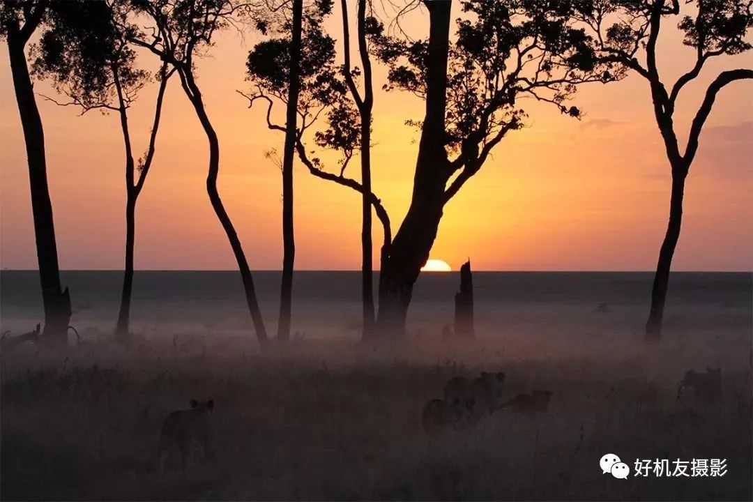 摄影中的意境是什么意思,摄影中的美学有哪些