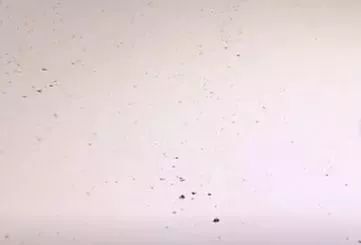 回南天湿气来袭,回南天湿气重防痛风