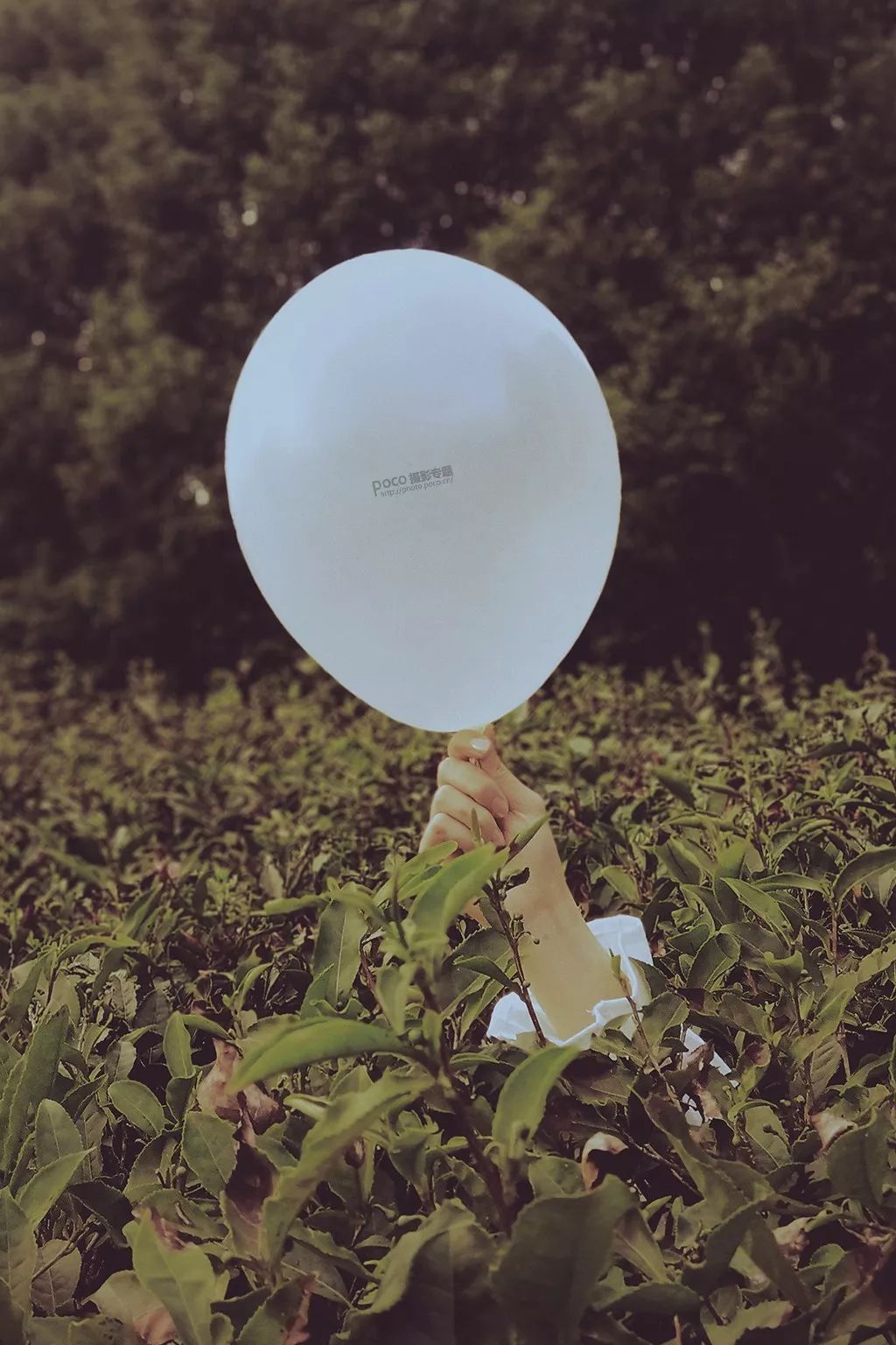 手机摄影9种风格人像写真,手机拍摄人像艺术照技巧