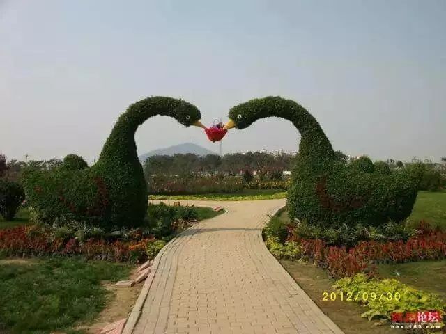 大河新传媒,大河新媒体