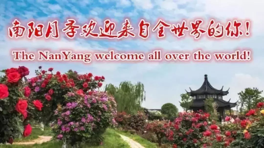 大河新传媒,大河新媒体