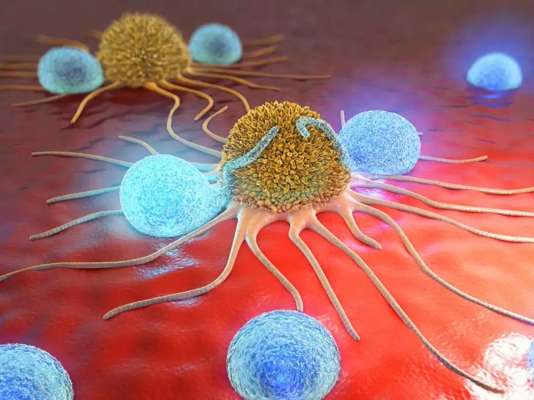 免疫治疗攻克癌症的希望,现实的灯塔