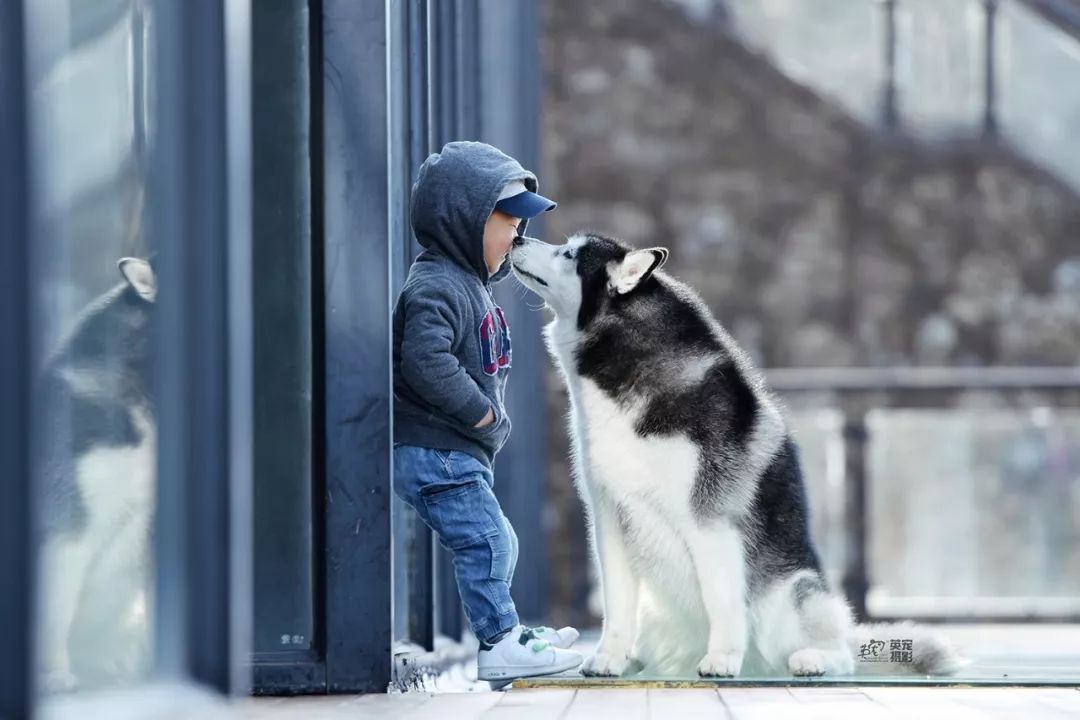 被狗舔了一下会感染狂犬病吗,伤口流血了被狗舔会得狂犬病吗