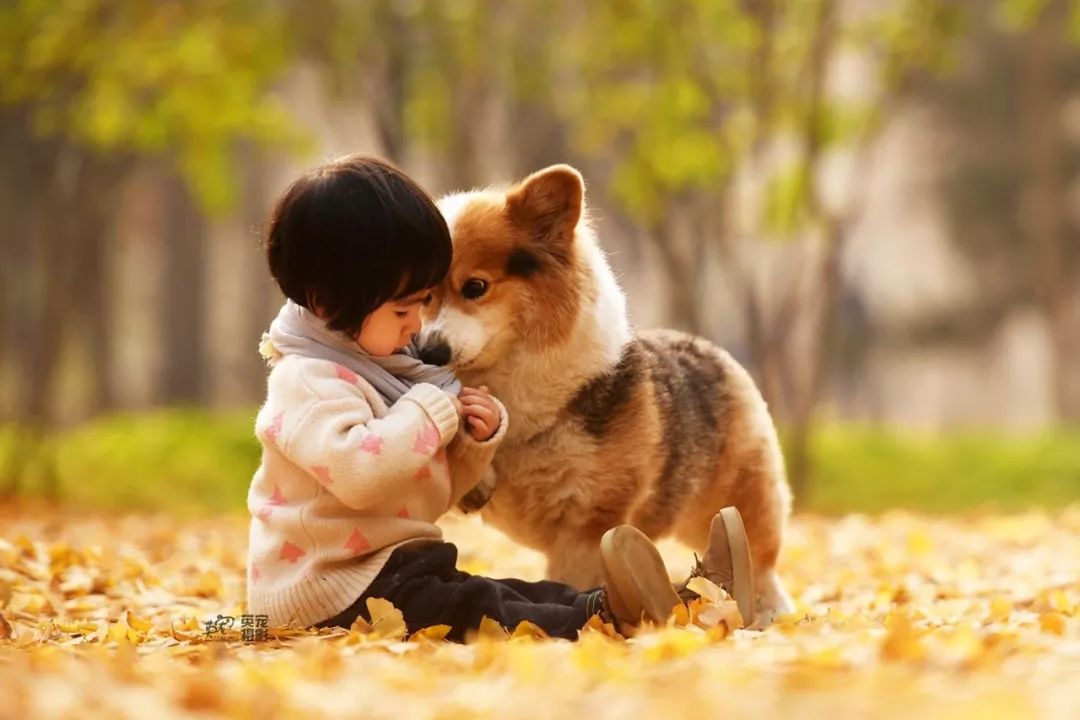 被狗舔了一下会感染狂犬病吗,伤口流血了被狗舔会得狂犬病吗