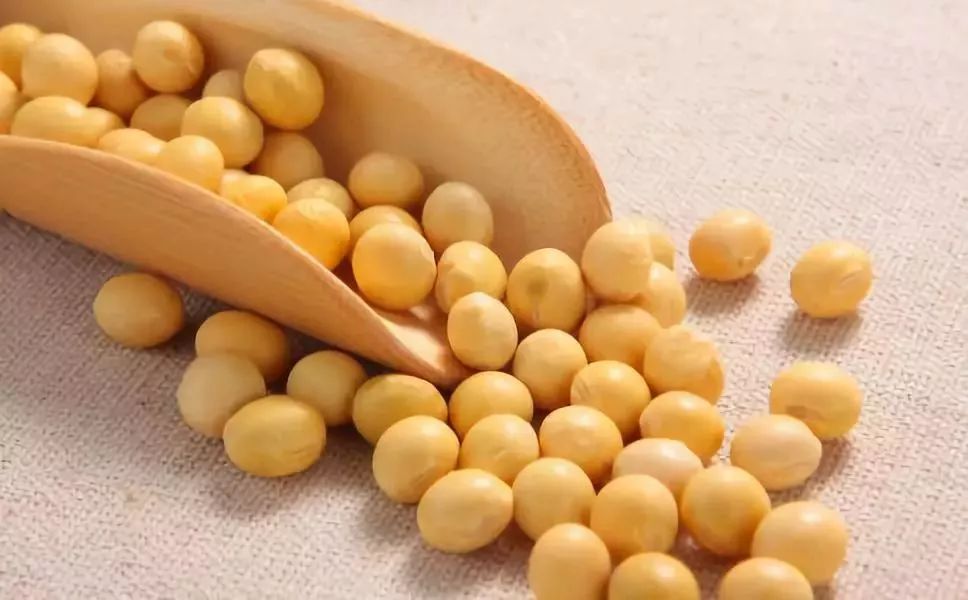 绋充簡娉ㄥ唽鍏徃,绋充簡鍘熺増