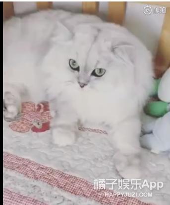 乡村爱情孩子花絮,乡村爱情国际版宣传片